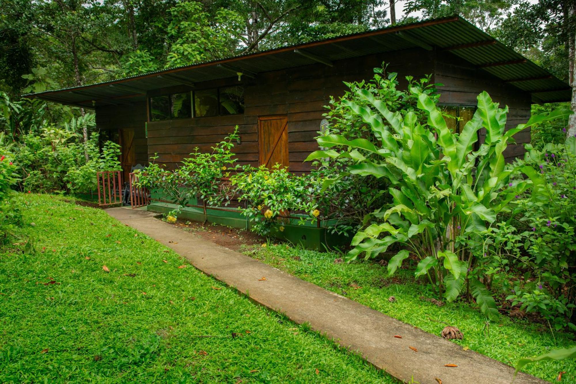 Cecropia Ecolodge La Fortuna Room photo