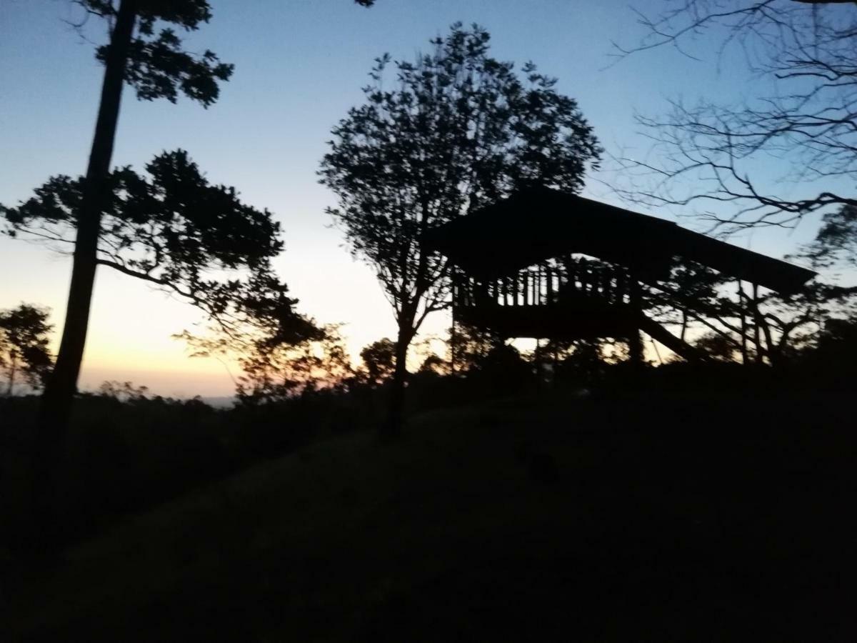 Cecropia Ecolodge La Fortuna Exterior photo